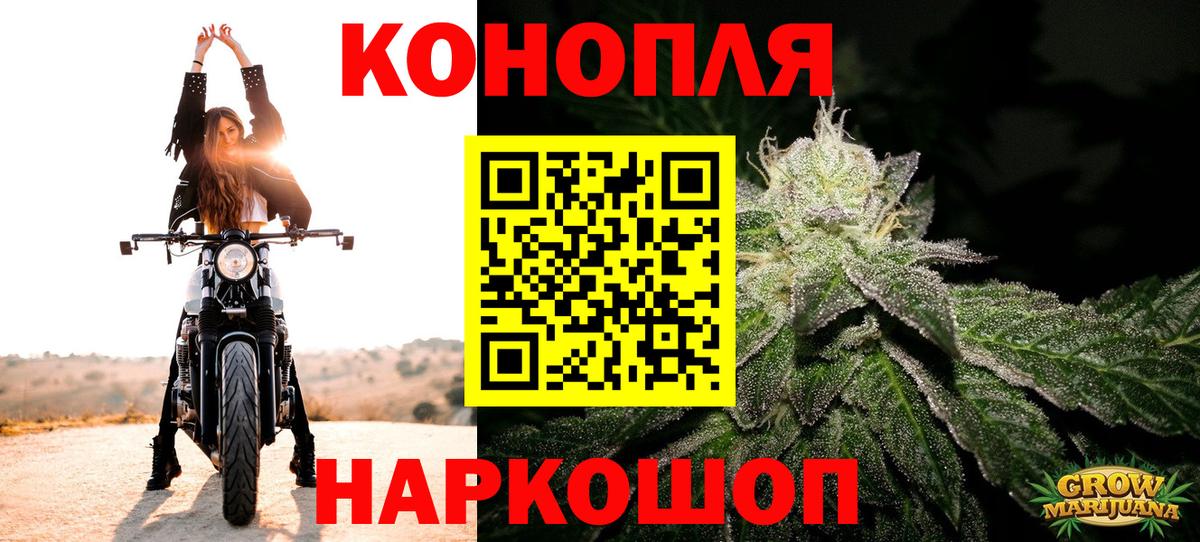 Марихуана планчик Зеленогорск
